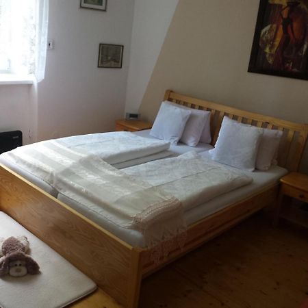Apartment Anna Cesky Dub Экстерьер фото